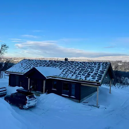 Mountain At Hardangervidda 펜션